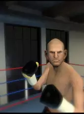 The Thrill of the Fight - VR Boxing