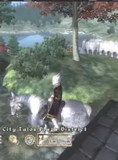 The Elder Scrolls IV: Oblivion - Horse Armor Pack