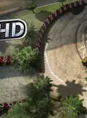 Reckless Racing HD