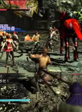 Dynasty Warriors 8