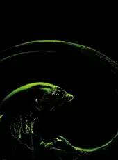 Alien 3