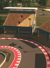 Cities: Skylines - Race Day