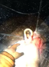 Cryostasis