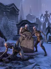 The Elder Scrolls Online: Stonethorn