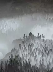 Wartales: Contract - The Beast Hunt