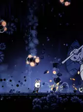 Hollow Knight