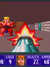 Wolfenstein 3D