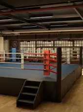 The Thrill of the Fight 2