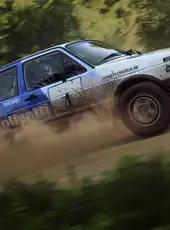 Dirt Rally 2.0