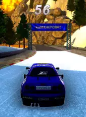 Dirt Racing Bundle Rally & Truck