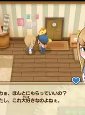 Story of Seasons: Friends of Mineral Town
