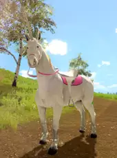 The Unicorn Princess