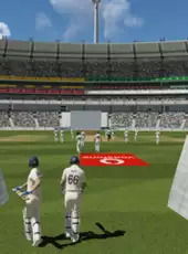 Cricket 22