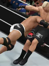 WWE 2K17