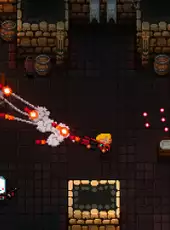 Enter the Gungeon: Deluxe Edition