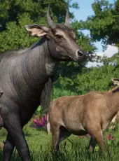 Planet Zoo: Asia Animal Pack