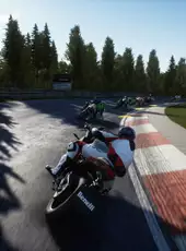 Ride 3: Back to Basic Pack