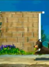 Cuccioli Cerca Amici