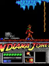 Indiana Jones and the Last Crusade: The Action Game