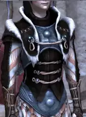 Dragon Age II: Rogue Item Pack II