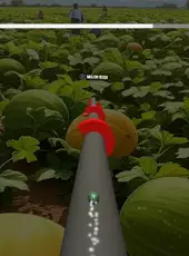 The Jumping Melon Rush 2
