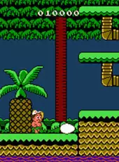 Adventure Island II