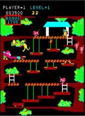 Arcade Archives: Kangaroo