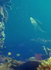 Deep Diving Simulator