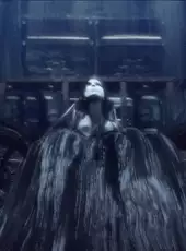 Fatal Frame: Maiden of Black Water