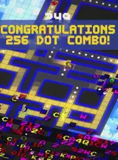 Pac-Man 256