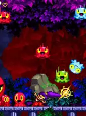 Shantae: Risky's Revenge - Director's Cut