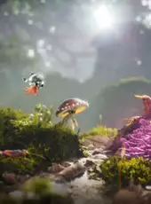 Dew