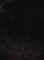 Paranormal Tales