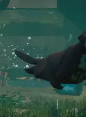 Planet Zoo: Aquatic Pack