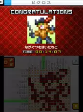 Picross e9