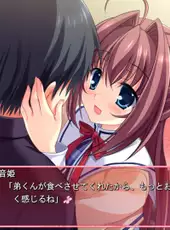 D.C. II: Da Capo II - Dearest Marriage