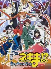 Mahou Sensei Negima!? Neo-Pactio Fight!!