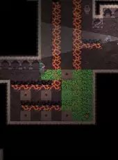 Don't Wake the Beast