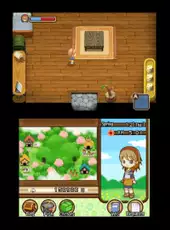 Harvest Moon: The Tale of Two Towns