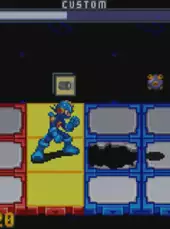 Mega Man Battle Network 5: Team Colonel & Protoman