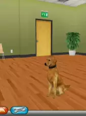 Cesar Millan's Dog Whisperer