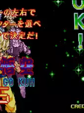 Dragon Ball Z: V.R.V.S.