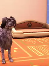 Animal Shelter 2: Hunting Dogs Pack