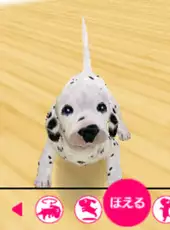 The Dog: Happy Life