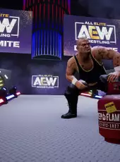 All Elite Wrestling: Fight Forever - Bring the Boom Edition