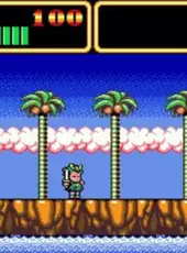 Wonder Boy III: Monster Lair