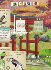 Wingspan: Asia Expansion