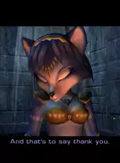 Star Fox Adventures