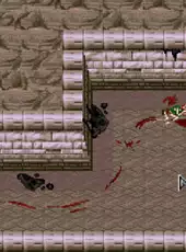 Dungeons & Dragons: Dark Sun Series