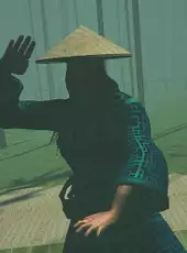 Dragon Fist: VR Kung Fu
